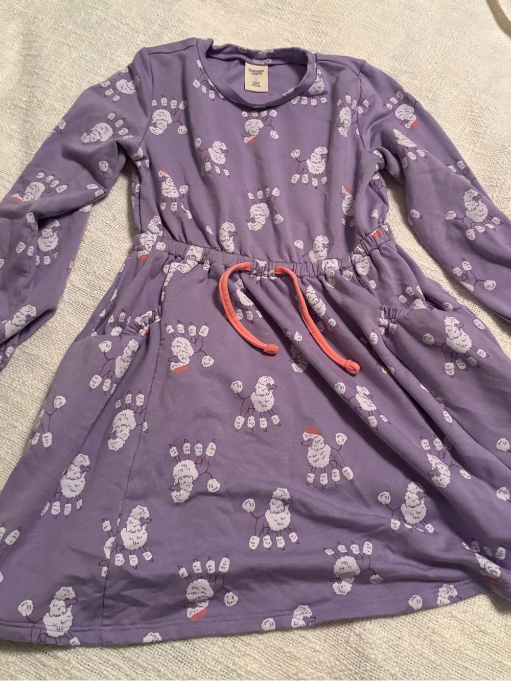 Tucker and Tate Purple Kids Dress with Drawstring Waist size 5 pockets